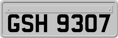 GSH9307