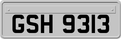 GSH9313