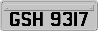 GSH9317