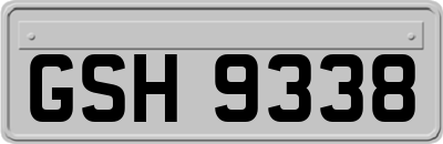 GSH9338