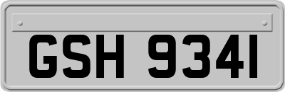 GSH9341