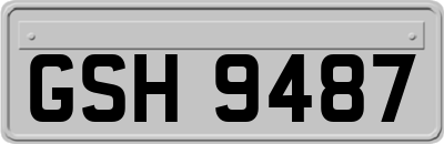 GSH9487