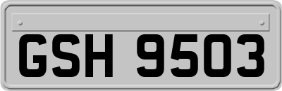 GSH9503