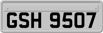 GSH9507