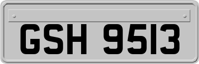GSH9513