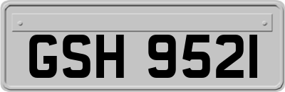 GSH9521