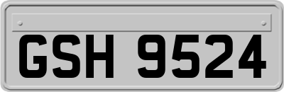 GSH9524