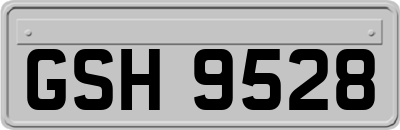 GSH9528