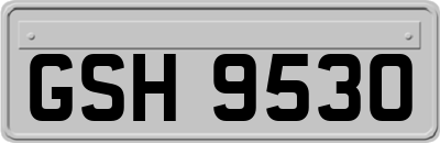 GSH9530