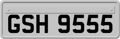 GSH9555
