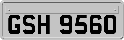 GSH9560