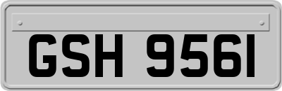 GSH9561