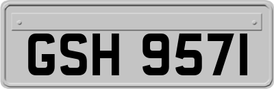 GSH9571