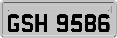 GSH9586