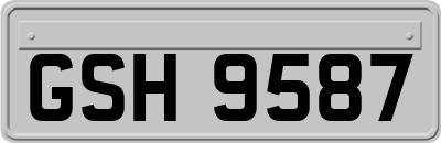 GSH9587