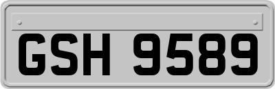 GSH9589