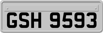 GSH9593