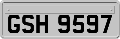 GSH9597