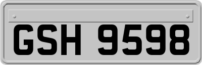 GSH9598