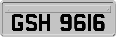 GSH9616