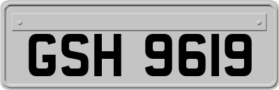GSH9619