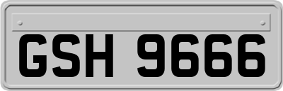 GSH9666