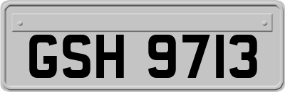GSH9713
