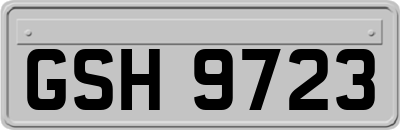 GSH9723