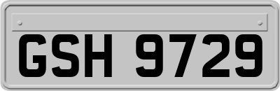 GSH9729