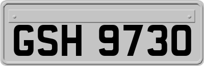 GSH9730