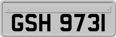 GSH9731