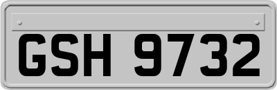 GSH9732