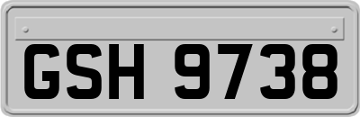 GSH9738
