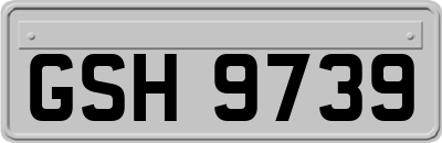 GSH9739