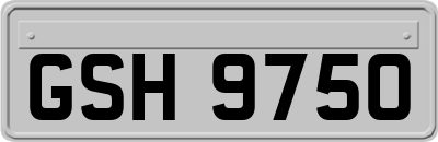 GSH9750