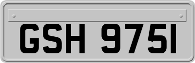 GSH9751
