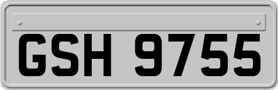 GSH9755
