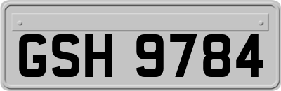 GSH9784
