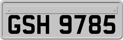 GSH9785