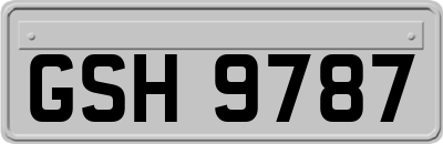 GSH9787