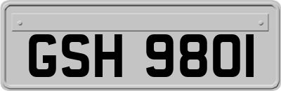 GSH9801