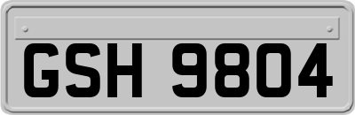 GSH9804
