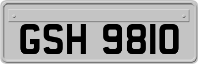 GSH9810
