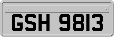 GSH9813