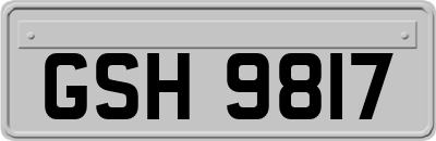 GSH9817