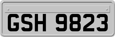 GSH9823