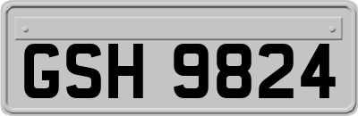 GSH9824