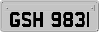 GSH9831