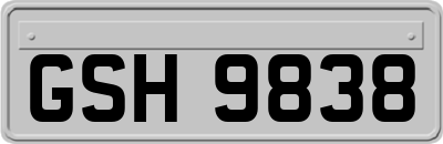GSH9838