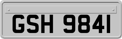 GSH9841